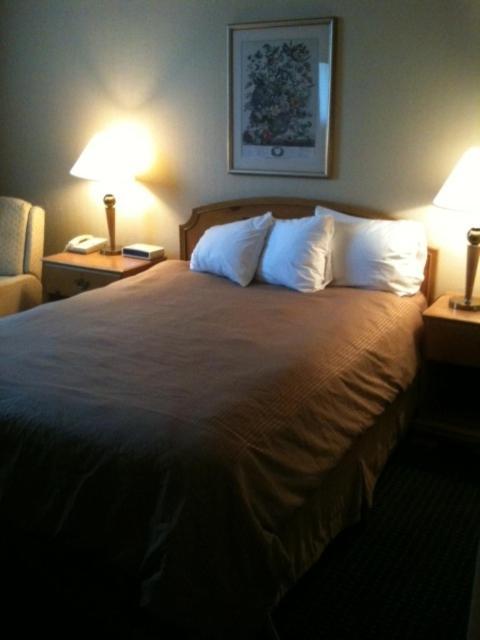 Carol Hotel Omaha Chambre photo